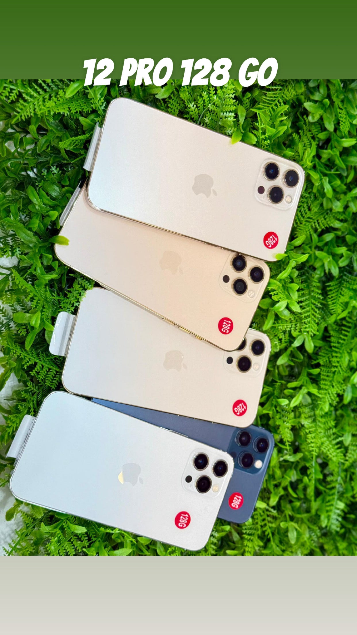 12 pro 128 go